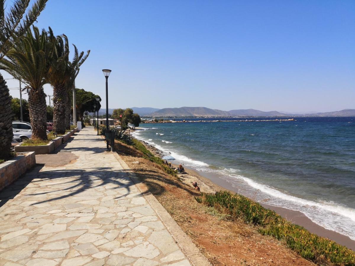 Aegean Sea Home Νέα Μάκρη Εξωτερικό φωτογραφία